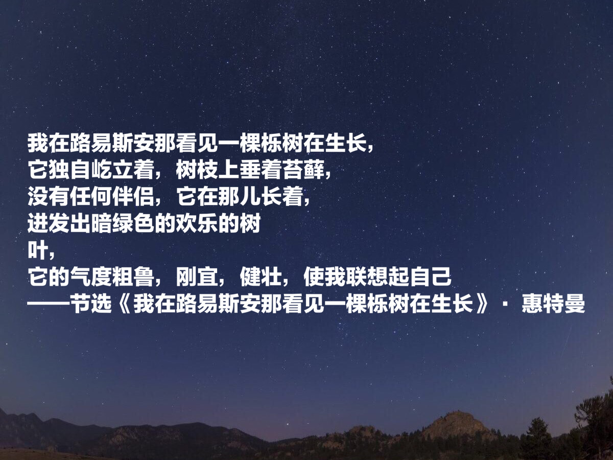惠特曼的诗歌原文（惠特曼经典诗词欣赏） 第13张