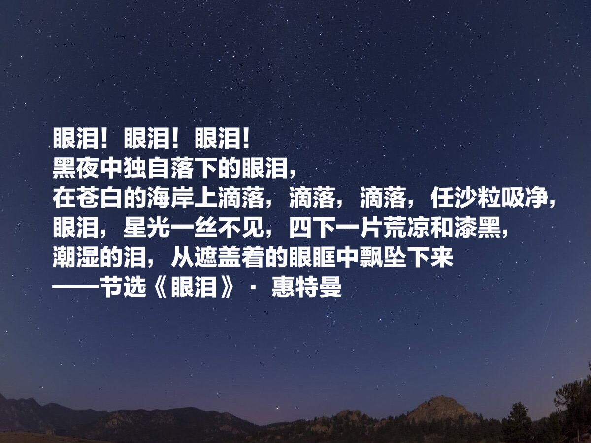 惠特曼的诗歌原文（惠特曼经典诗词欣赏） 第15张