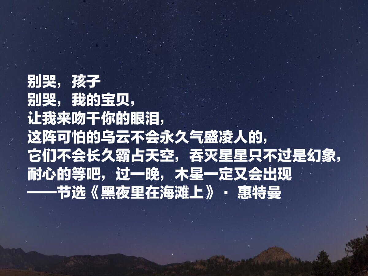 惠特曼的诗歌原文（惠特曼经典诗词欣赏） 第17张