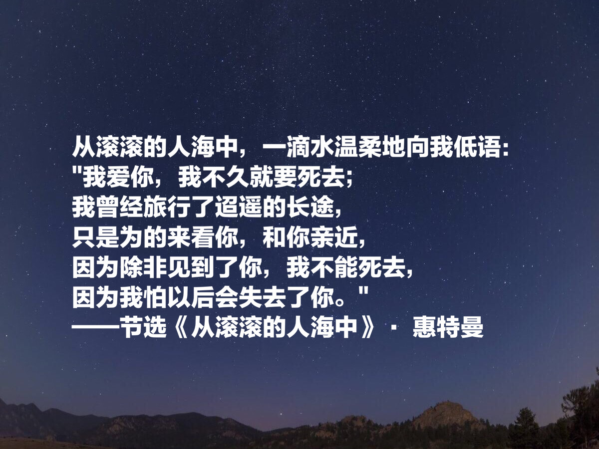 惠特曼的诗歌原文（惠特曼经典诗词欣赏） 第19张