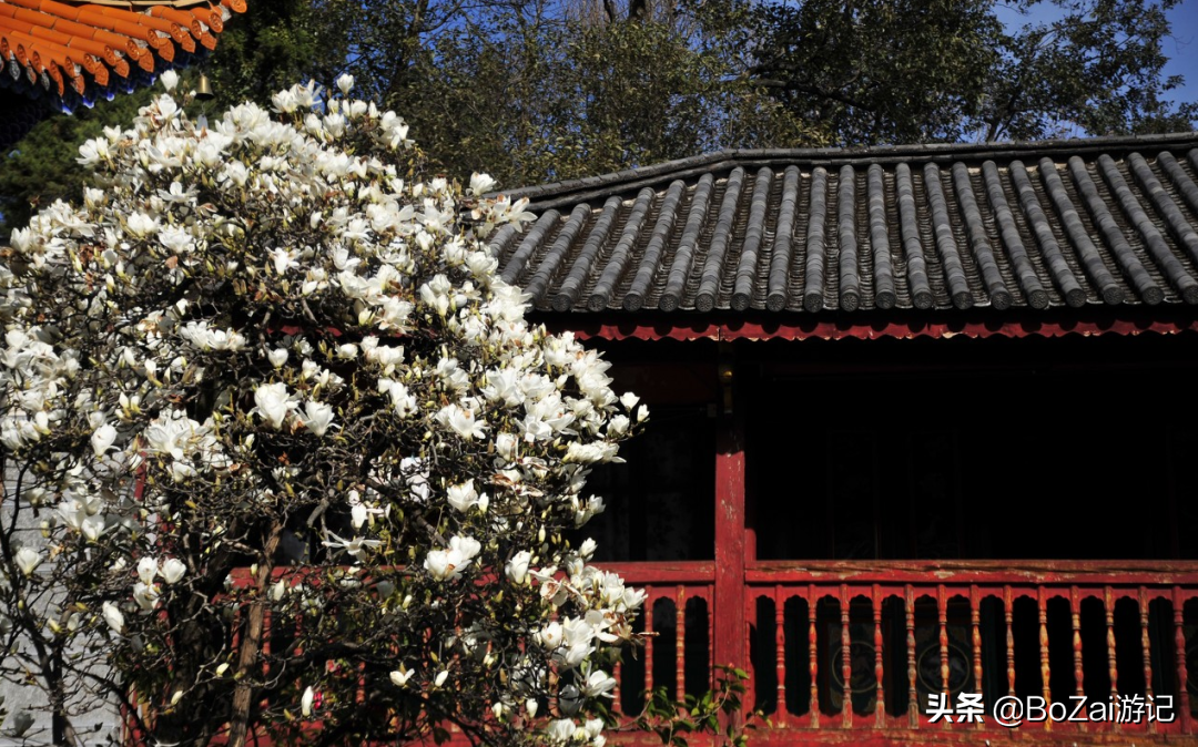 到云南大理旅游必去的17大景点，有影视基地，也有历史文化古城 第105张