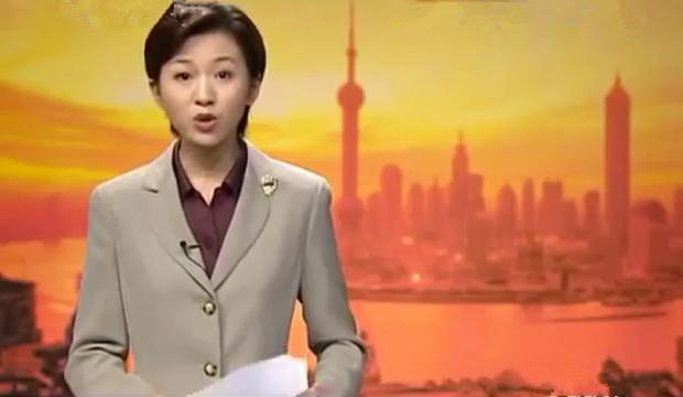 央视“国脸”欧阳夏丹，销声匿迹一年半，离职原因成谜 第23张
