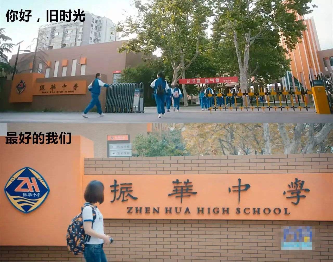暗恋·橘生淮南：梦幻联动！“振华三部曲”最全人物关系梳理 第1张