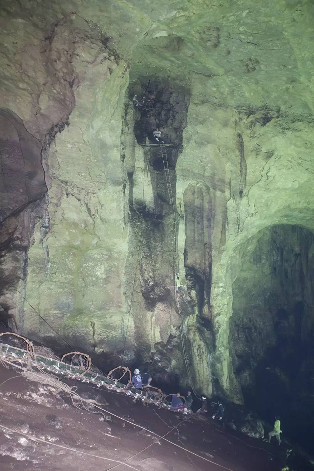 小哥筑屋引燕一个月产5斤燕窝，金丝燕口水制成，凭啥一斤卖万元 第5张