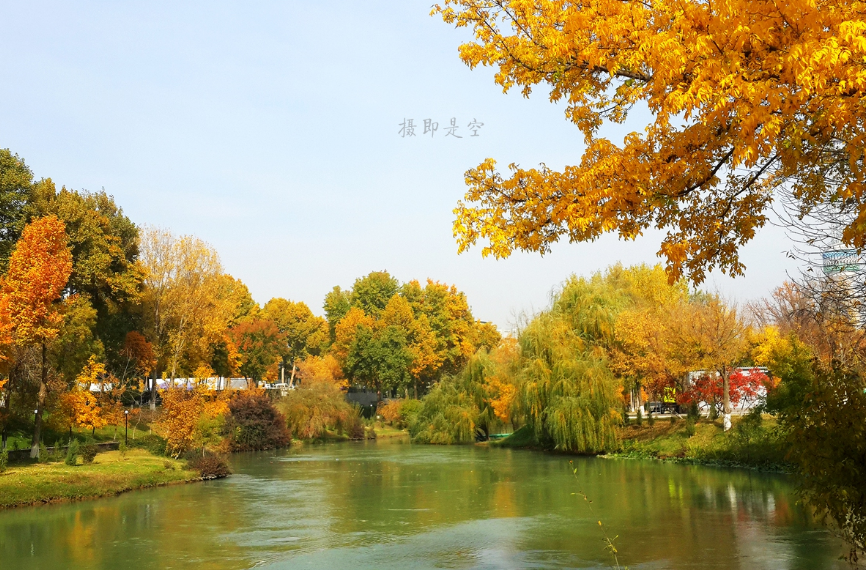 赞美完美家乡的句子（表达赞美家乡美的诗句） 第3张