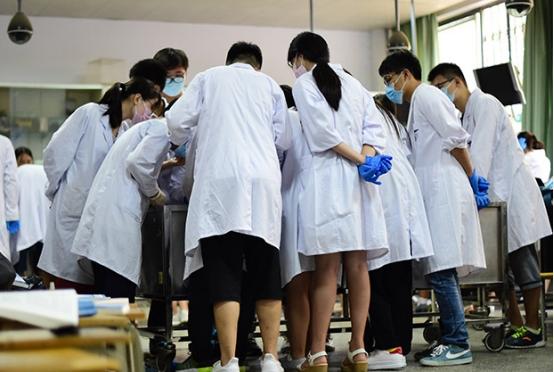 全国医学院前“三十强”排名，可分为4档，第一档大家耳熟能详 第17张