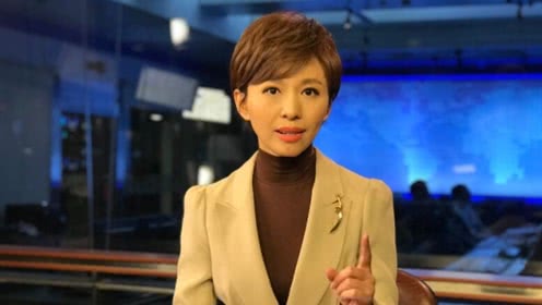 央视“国脸”欧阳夏丹，销声匿迹一年半，离职原因成谜 第21张
