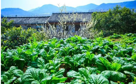 简单而又幸福生活的句子（珍惜平淡幸福生活的励志语录） 第9张