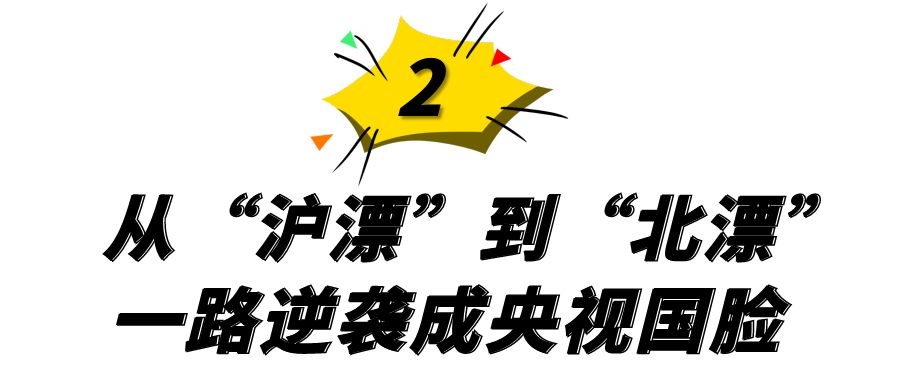央视“国脸”欧阳夏丹，销声匿迹一年半，离职原因成谜 第19张