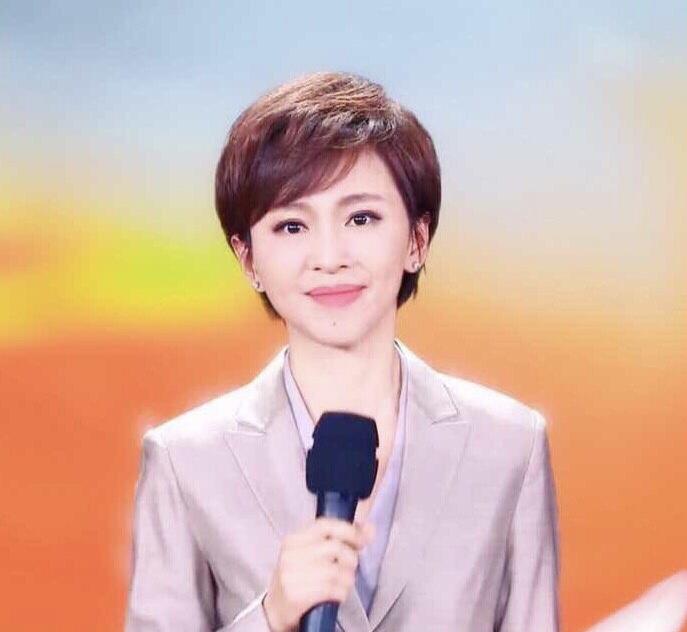 央视“国脸”欧阳夏丹，销声匿迹一年半，离职原因成谜 第13张