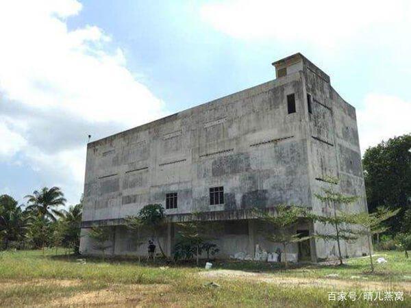 小哥筑屋引燕一个月产5斤燕窝，金丝燕口水制成，凭啥一斤卖万元 第13张