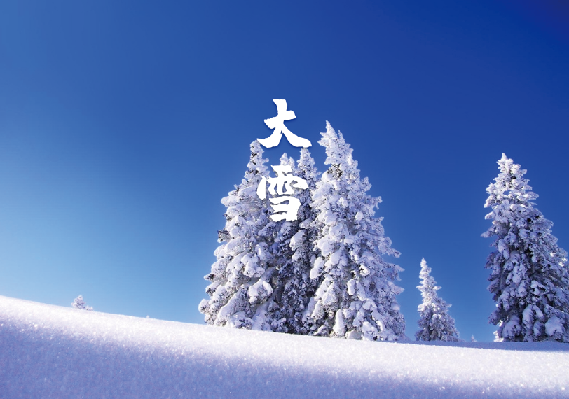 大雪节气的诗歌有哪些（描写大雪的经典诗句） 第33张