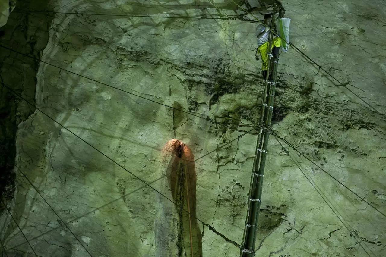 小哥筑屋引燕一个月产5斤燕窝，金丝燕口水制成，凭啥一斤卖万元 第7张