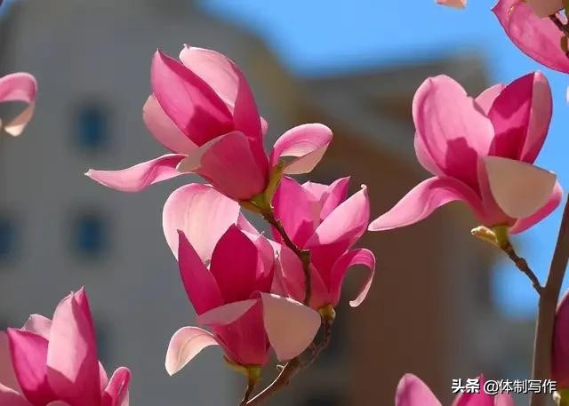 鼓励抗击疫情的话（抗击疫情鼓励加油的话） 第1张