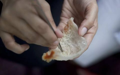 天然燕窝一斤多少钱（上等品质高达上万元一斤）