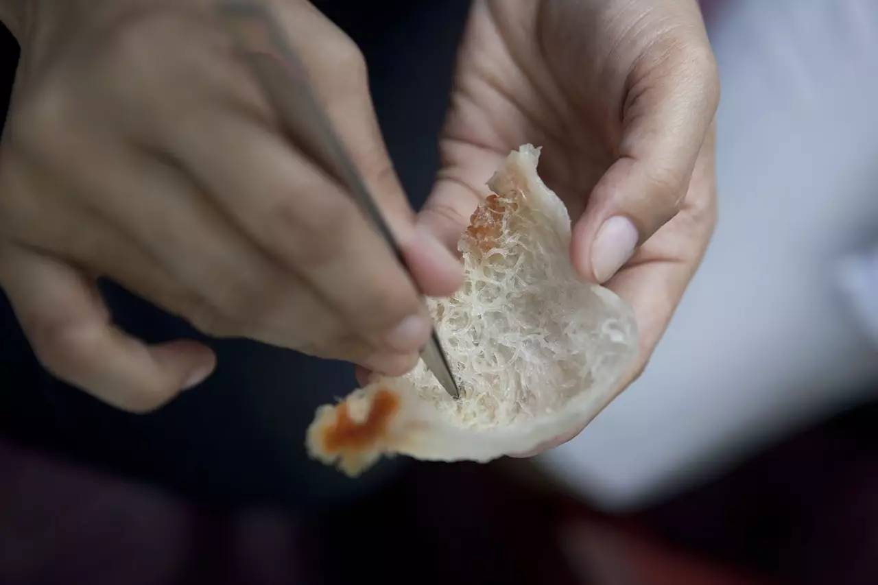 小哥筑屋引燕一个月产5斤燕窝，金丝燕口水制成，凭啥一斤卖万元 第1张