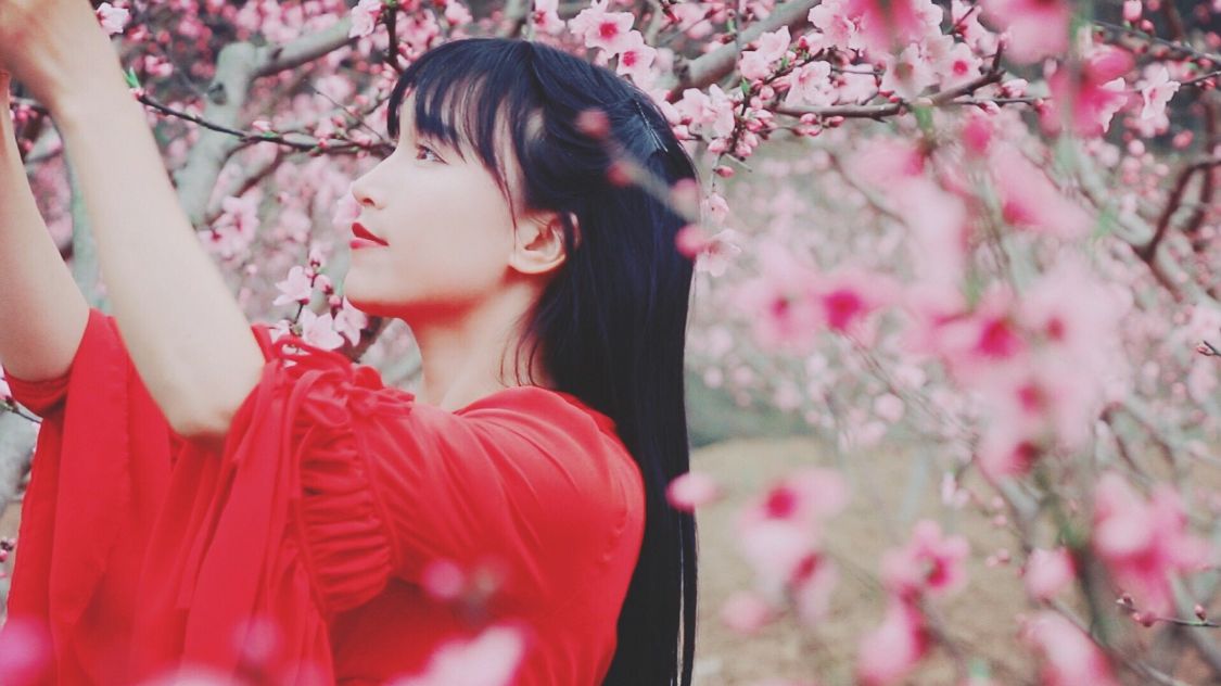 李子柒风波再起，疑似与经纪公司产生纠纷，成为资本的赚钱工具？ 第19张