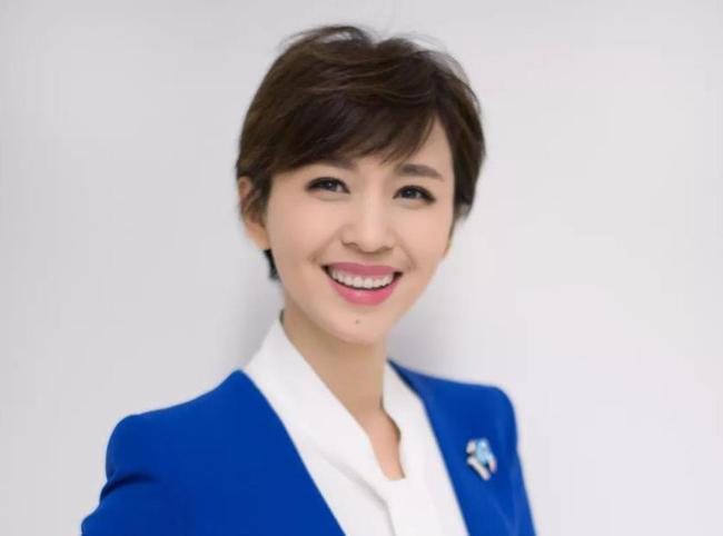 央视“国脸”欧阳夏丹，销声匿迹一年半，离职原因成谜 第5张