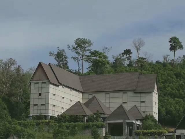 小哥筑屋引燕一个月产5斤燕窝，金丝燕口水制成，凭啥一斤卖万元 第21张