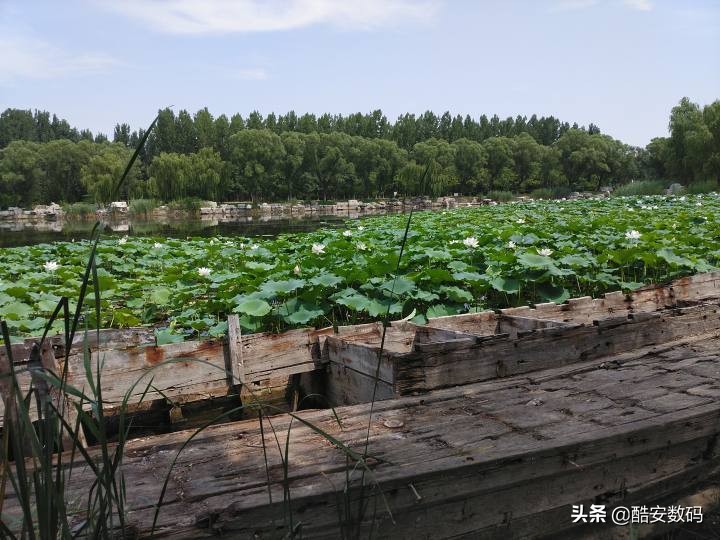 200多的折叠双屏手机？中兴天机M简评 第59张