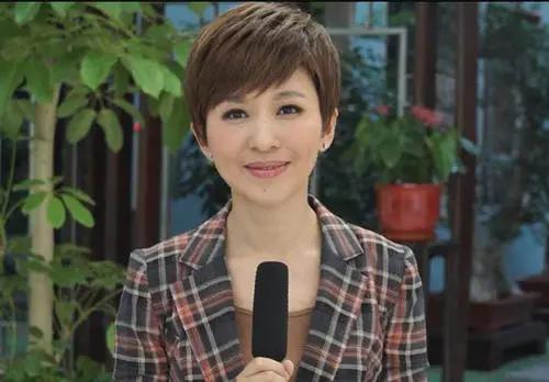 央视“国脸”欧阳夏丹，销声匿迹一年半，离职原因成谜 第27张