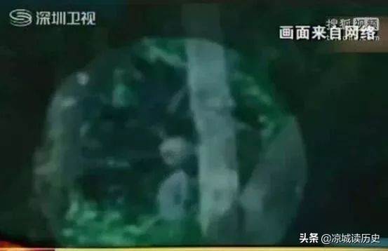 巴西亚马逊外星人事件，影片惊现奇异生物形似外星人 第7张
