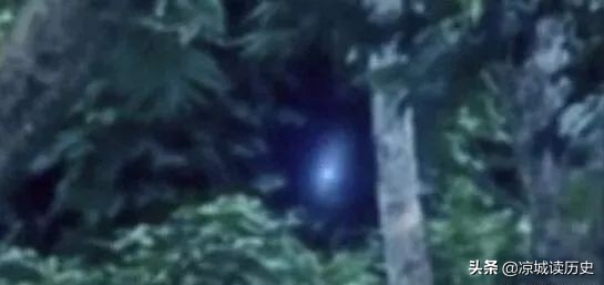 巴西亚马逊外星人事件，影片惊现奇异生物形似外星人 第5张