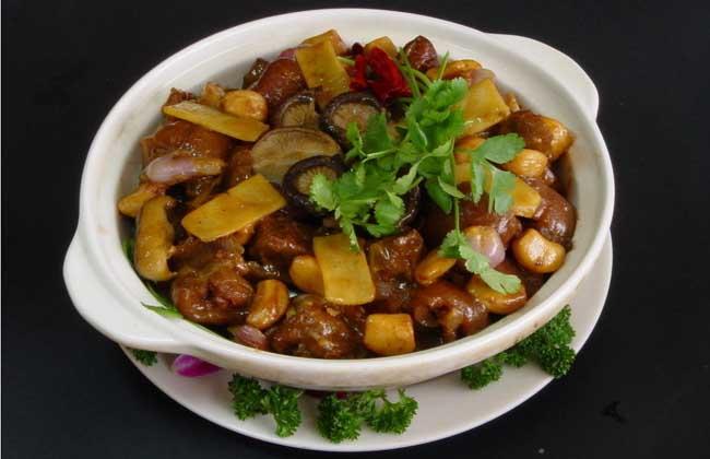 野猪肉怎么做好吃（分享野猪肉的6种好吃做法） 第13张
