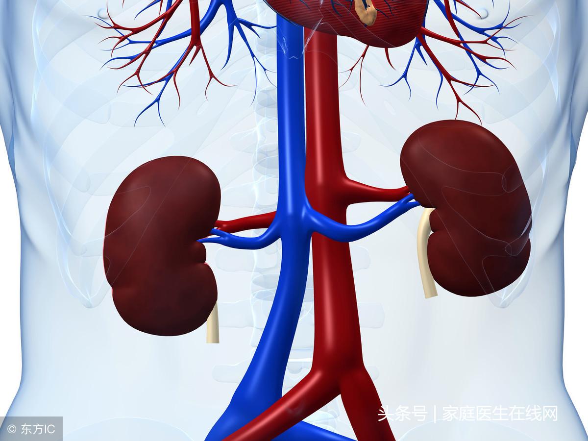 夜尿多是什么原因造成的（治疗夜尿的简单方法及原因） 第3张