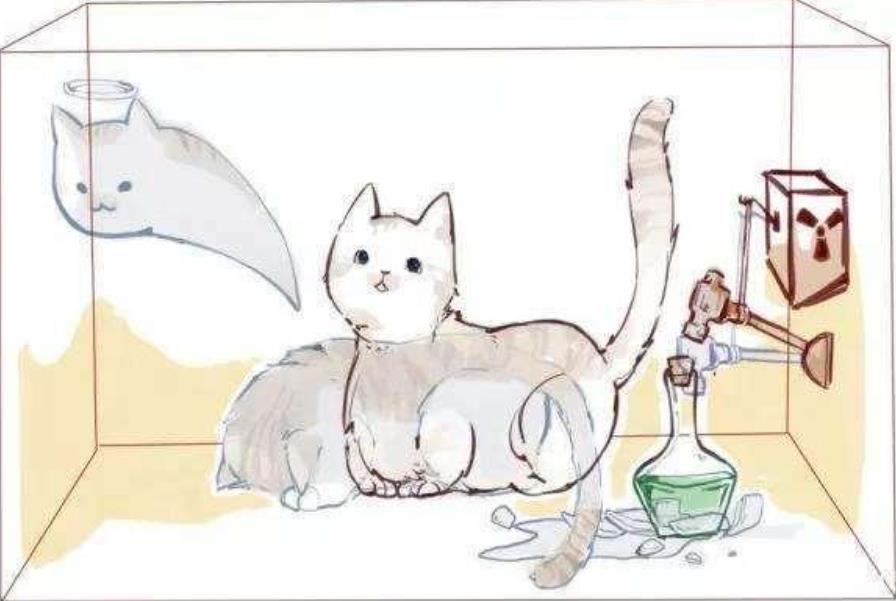 薛定谔的猫是什么意思（关于薛定谔的猫的现实意义） 第7张