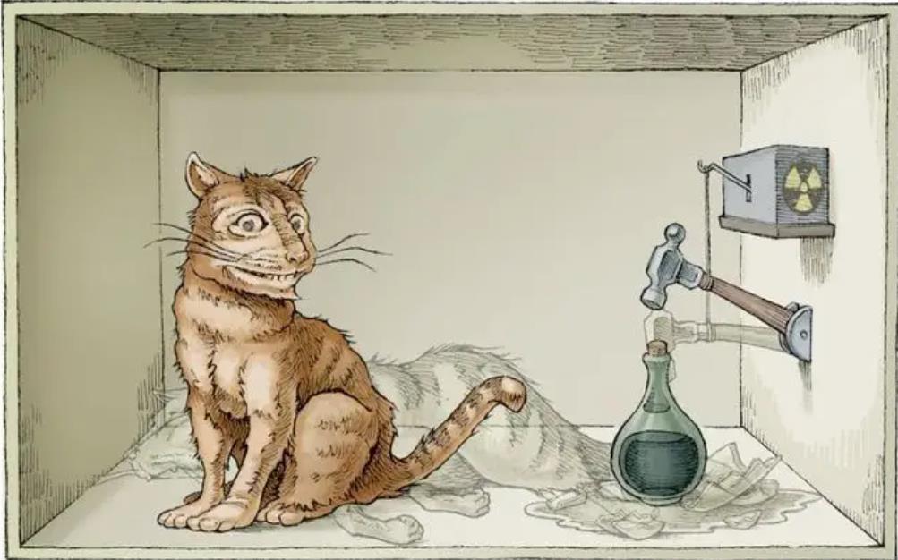 薛定谔的猫是什么意思（关于薛定谔的猫的现实意义） 第21张