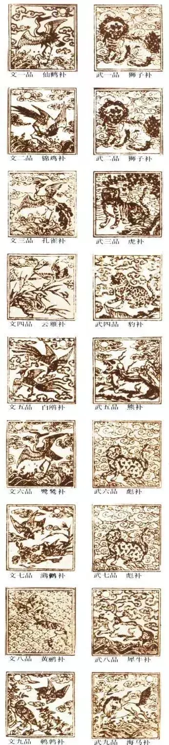 衣冠禽兽什么意思（衣冠禽兽的由来和变迁） 第11张