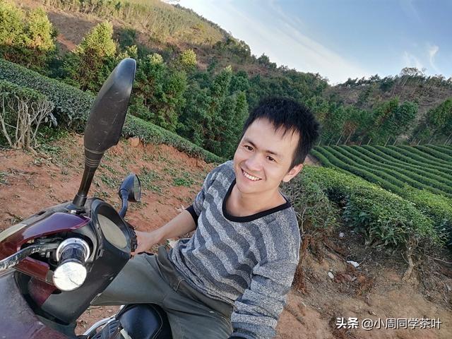 水仙和肉桂的区别与优势（水仙茶和肉桂茶的不同之处） 第1张