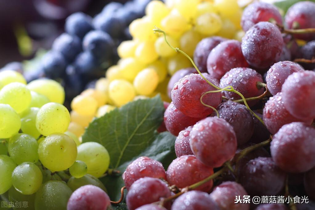 葡萄和提子的区别营养价值（关于葡萄与提子的不同之处） 第13张