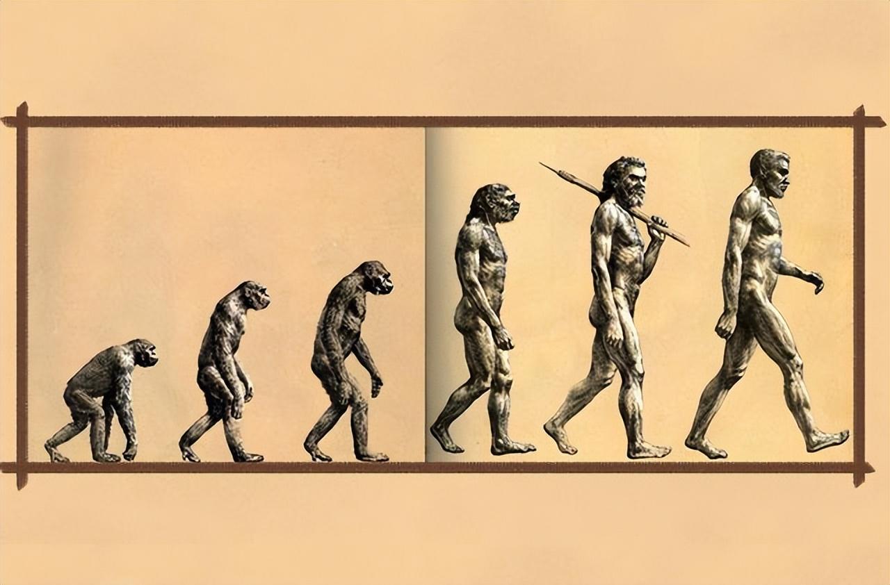 第一个人类是怎么诞生的（人类起源史讲解） 第5张