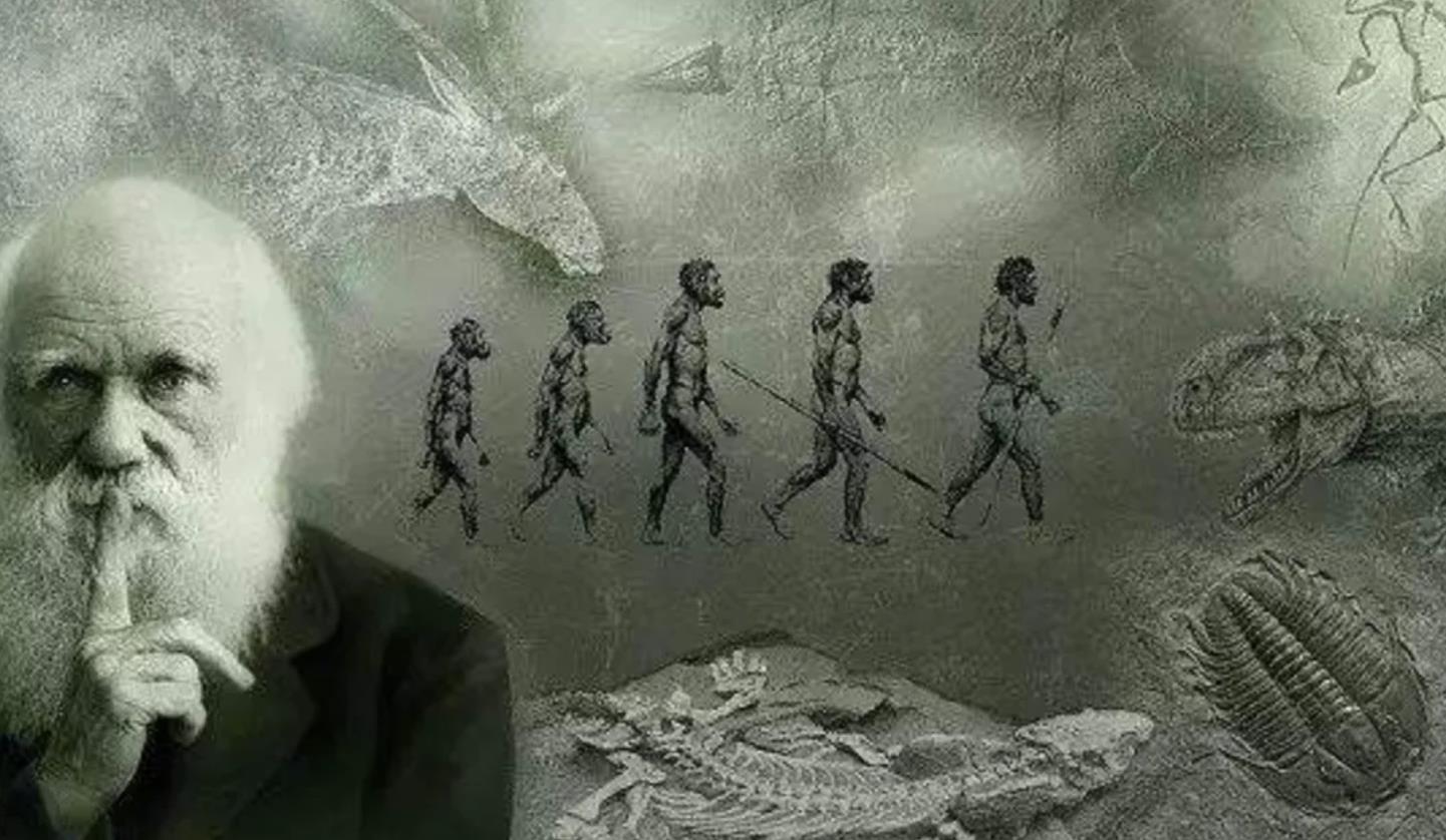 第一个人类是怎么诞生的（人类起源史讲解） 第11张
