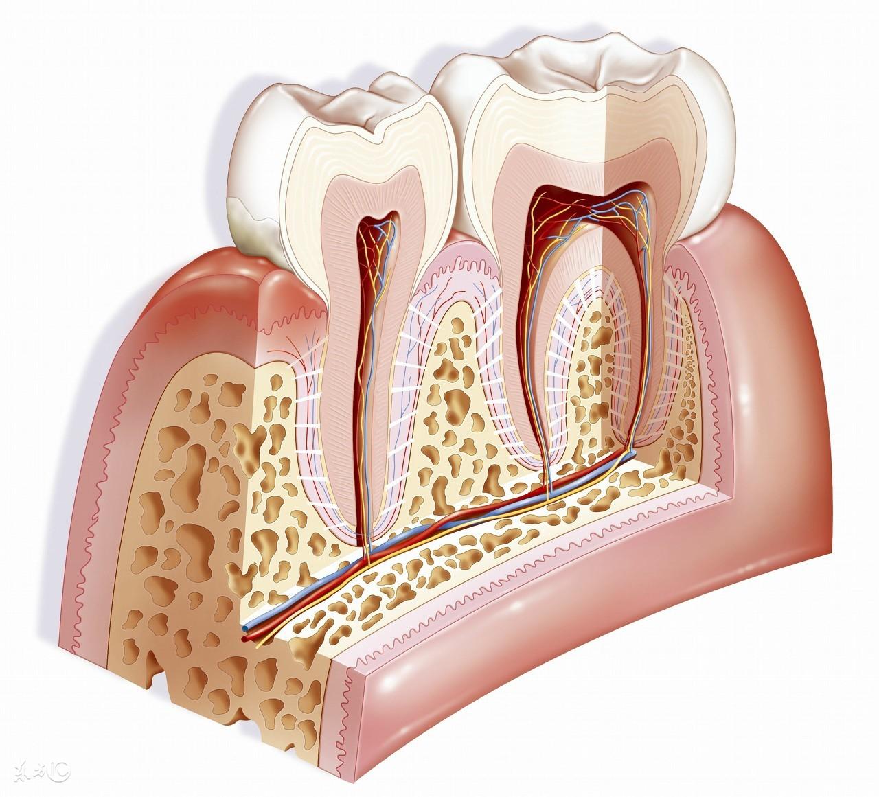 睡觉为什么流囗水（治疗流口水的最佳方法） 第5张