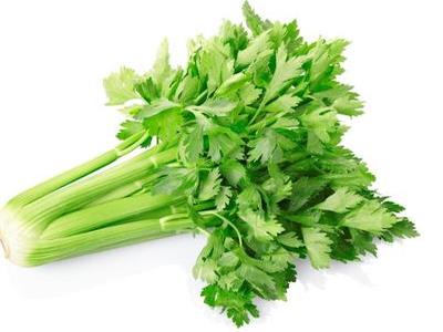 立秋后种什么蔬菜合适（适合秋季室外种植的蔬菜） 第3张
