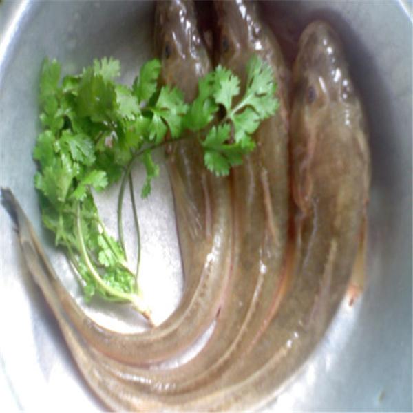连云港特产有哪些（连云港特产美食推荐） 第3张