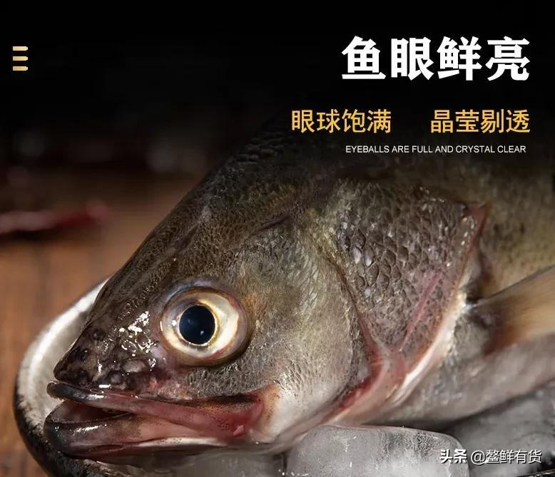 海鲈鱼怎么做好吃（海鲈鱼的家常做法大全） 第3张