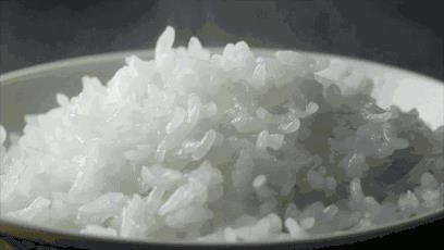 电饭煲什么牌子好（5个国内外知名的电饭煲品牌） 第1张