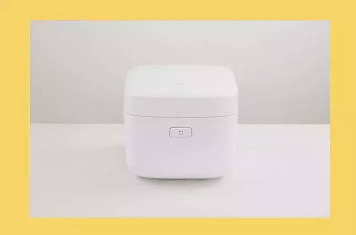 电饭煲什么牌子好（5个国内外知名的电饭煲品牌） 第19张
