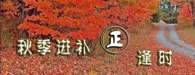 喝羊奶有什么好处（喝羊奶的功效与作用） 第1张