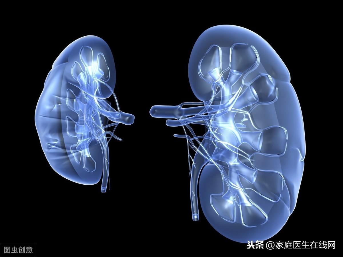 尿毒症是什么引起的（引起尿毒症的5个坏习惯） 第5张