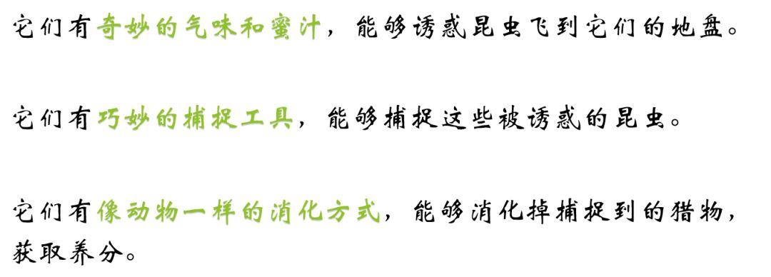 哪种植物也是吃肉的（介绍五种吃肉的植物） 第1张