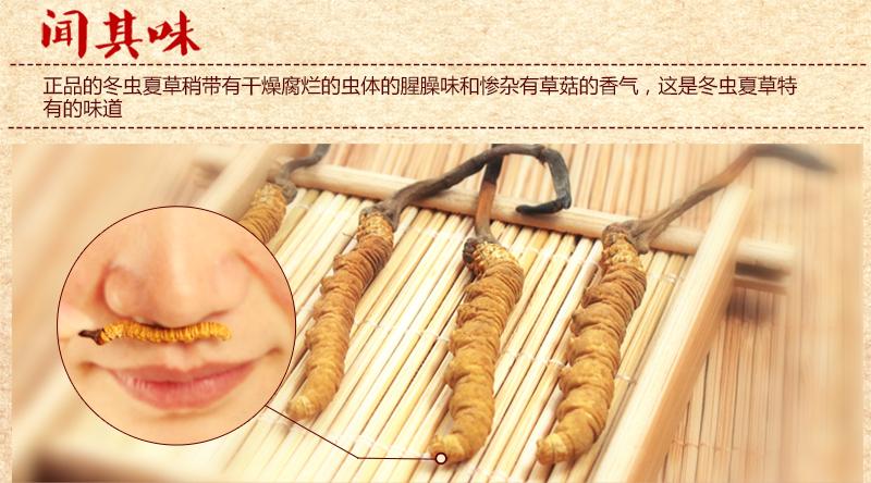 冬虫夏草怎么鉴别真假（关于冬虫夏草的真假区分方法） 第5张