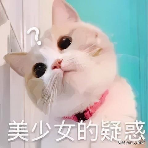 皮肤为什么会有红血丝（脸颊红血丝修复的方法） 第5张