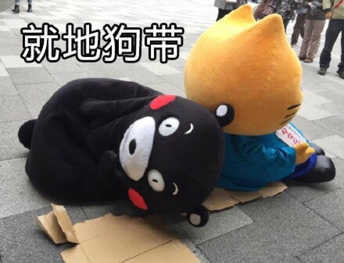 原地狗带是什么意思（网上说的狗带意思解释） 第1张