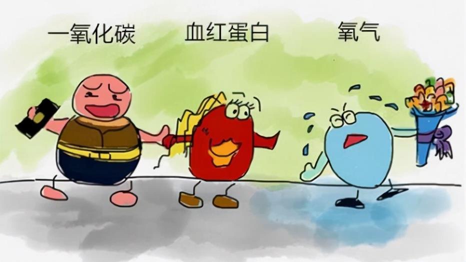 煤气中毒怎么办轻微（煤气中毒处理方法分享） 第5张