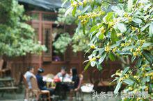 西湖十景有哪些特点（西湖十景景观特色分析） 第3张